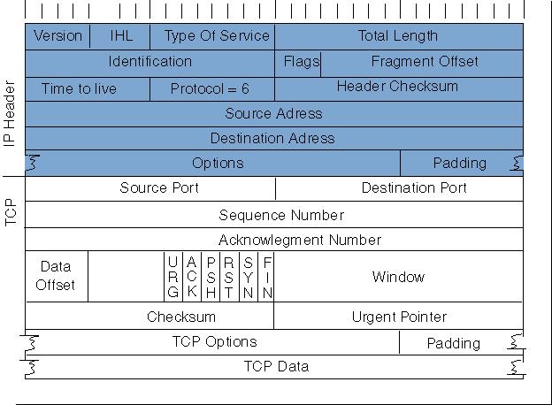 TCP Header