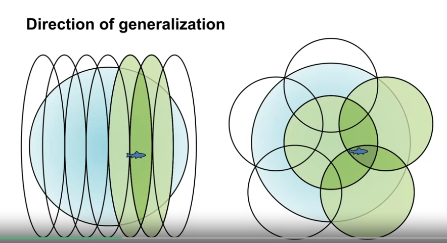 coarse_coding_direction_of_generalization