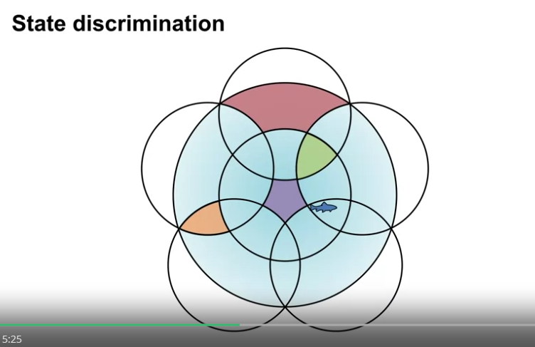 coarse_coding_state_discrimination