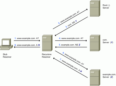 DNS Query